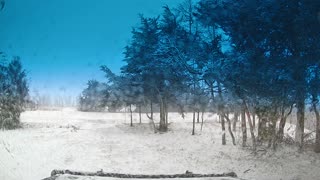 Snow Day Driving in Arkansas