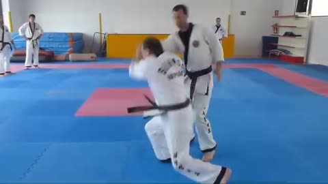Hapkido
