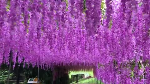12pcs Wisteria Artificial Flowers Vine Wreath Wedding Arch Decoration Leaf Rattan Trailing Sil