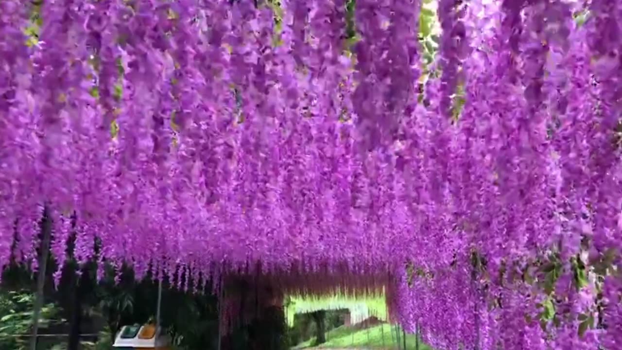 12pcs Wisteria Artificial Flowers Vine Wreath Wedding Arch Decoration Leaf Rattan Trailing Sil