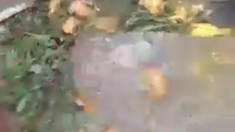 Funny Cooking Boy