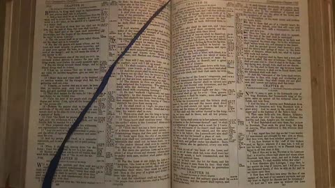 Isaiah 35