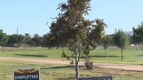 These signs are on 🔥🔥🔥