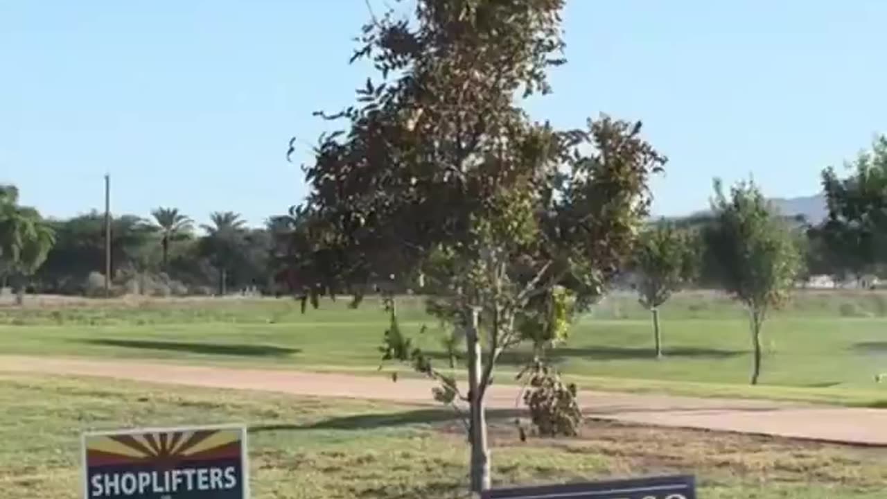 These signs are on 🔥🔥🔥