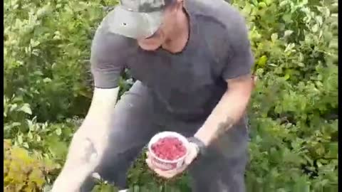 Enjoying The Food That Nature Provides