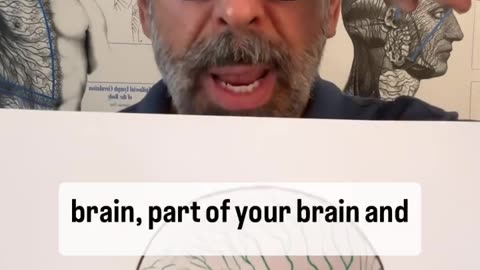 Do You Want to Have A Clearer Mind? Then You Need Clear Sinuses