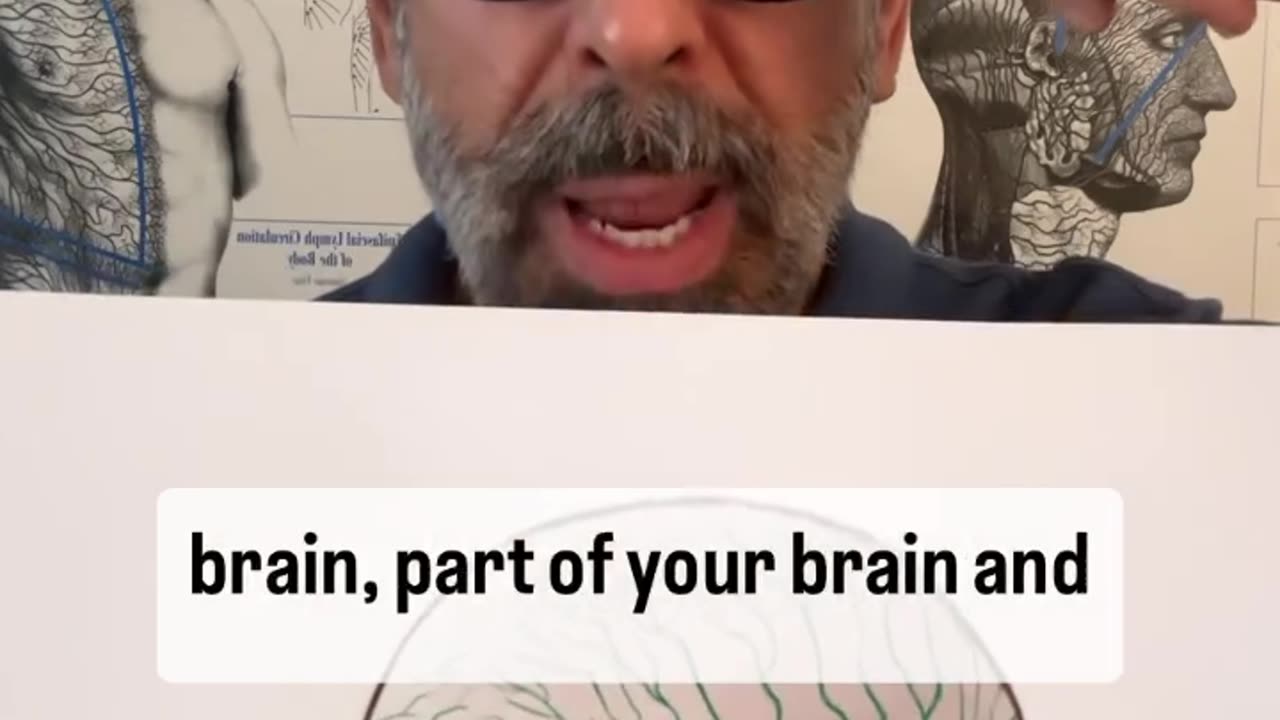 Do You Want to Have A Clearer Mind? Then You Need Clear Sinuses