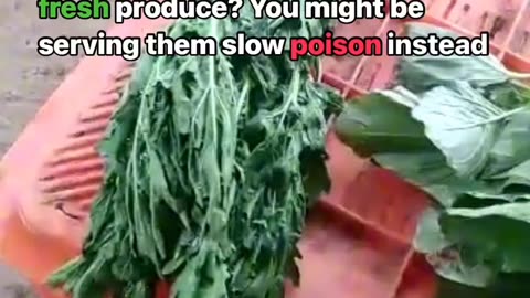 Look How they fool Us In Vegetables 🍆