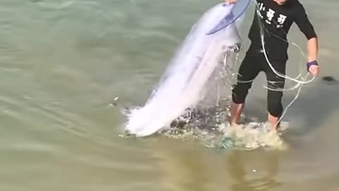 Amazing Asian Cast Net Fishing 🐟 #shorts