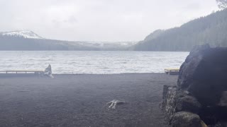 Suttle Lodge & Boathouse Lake Shoreline – Central Oregon – 4K