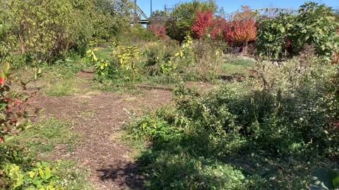 Bronx River Foodway (Concrete Plant Park, NYC)