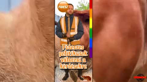 A fideszes ProstiSrácok (PS)