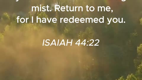 Bible Verse of the Day: August 17, 2024