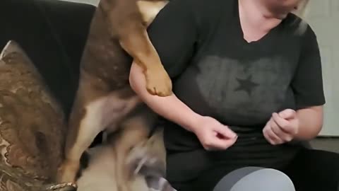 Dog kissing and loving my sister