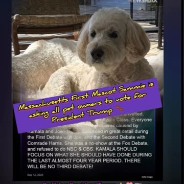 Vote Trump to Save America