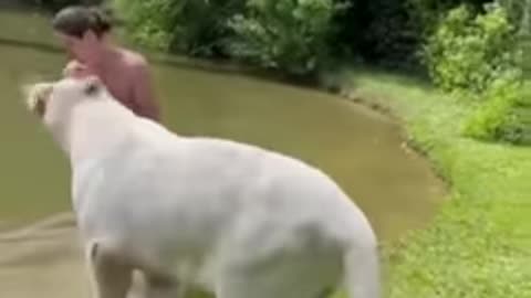 Funny animals