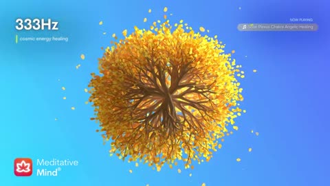 Lower Chakras Angelic Healing Music [ Root - Sacral - Solar Plexus ] | Meditative Mind Chakras