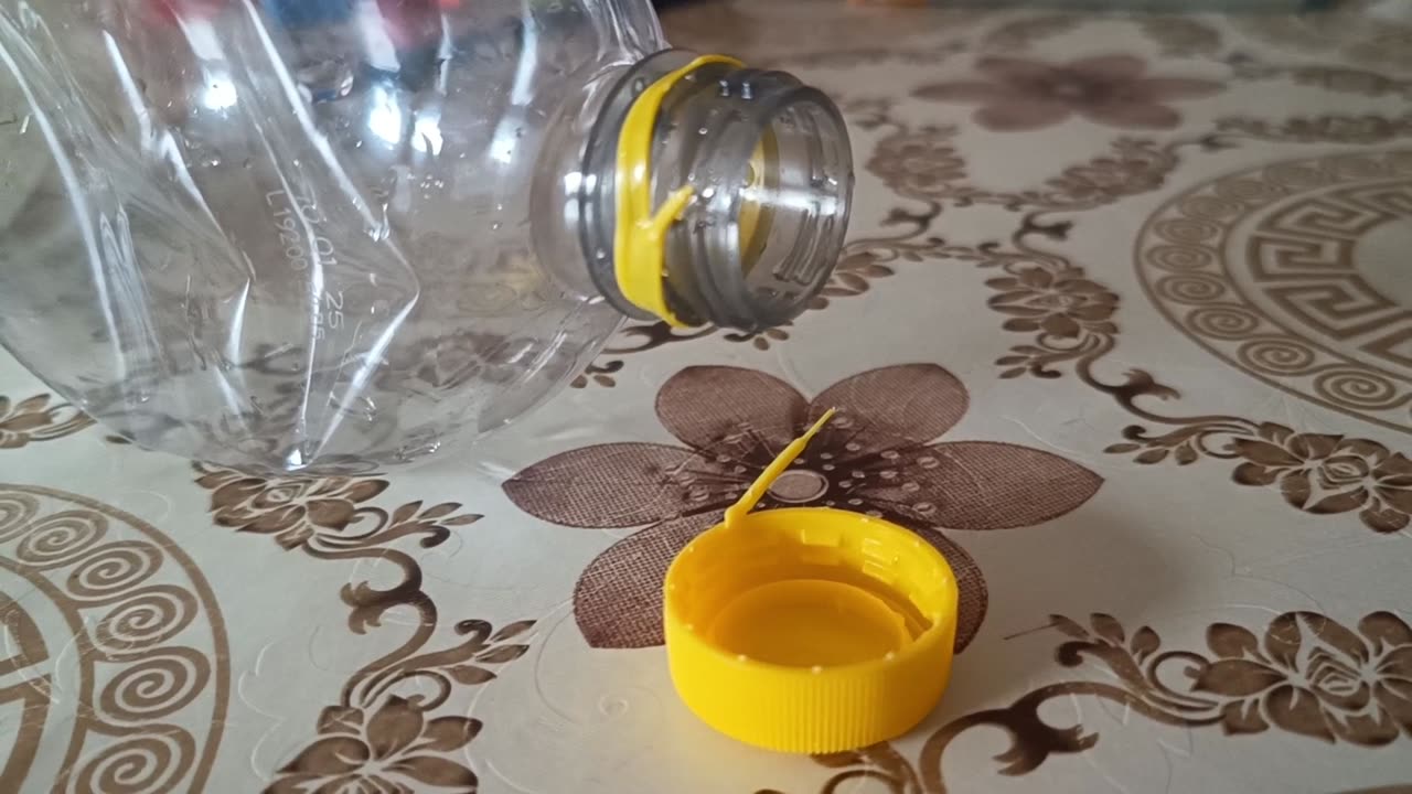 Will I be arrested now?