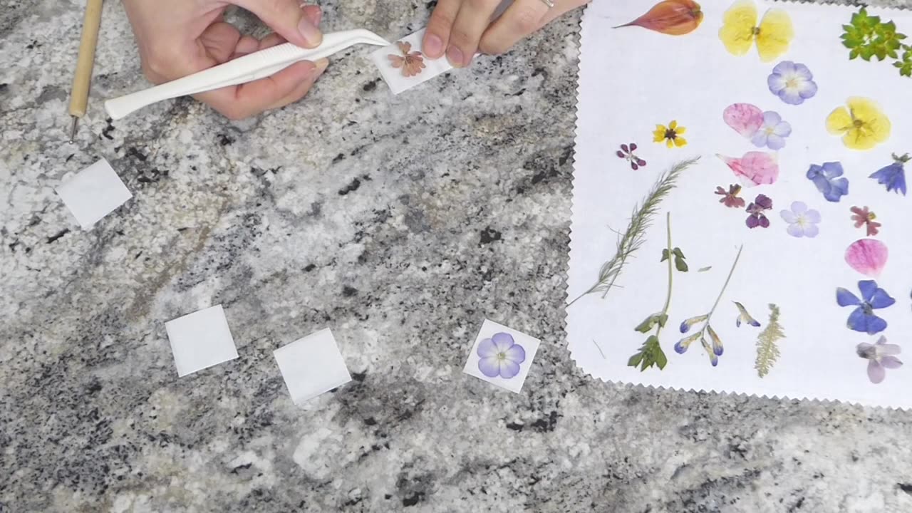 Pressed Flower Project: Stickers
