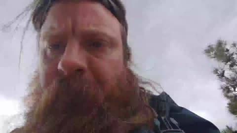 2022-05-25 (5) - zoo - Twitch