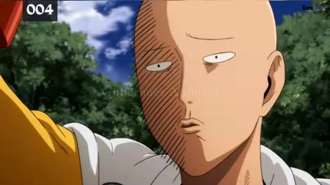 The Hero-One Punch Man