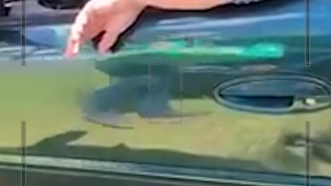 Parking Lot Karen DENIES hitting someone's car and refuses to give her information