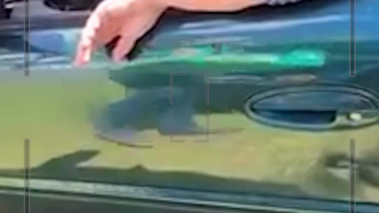 Parking Lot Karen DENIES hitting someone's car and refuses to give her information