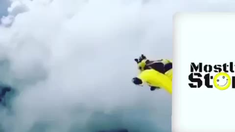 MSJ - Flying Squirrel