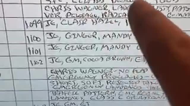 Epstein flight log and missing girls