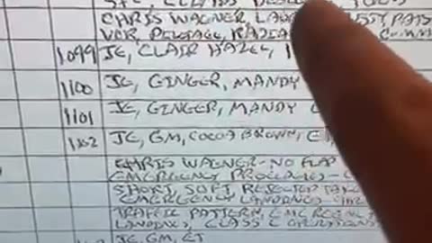 Epstein flight log and missing girls