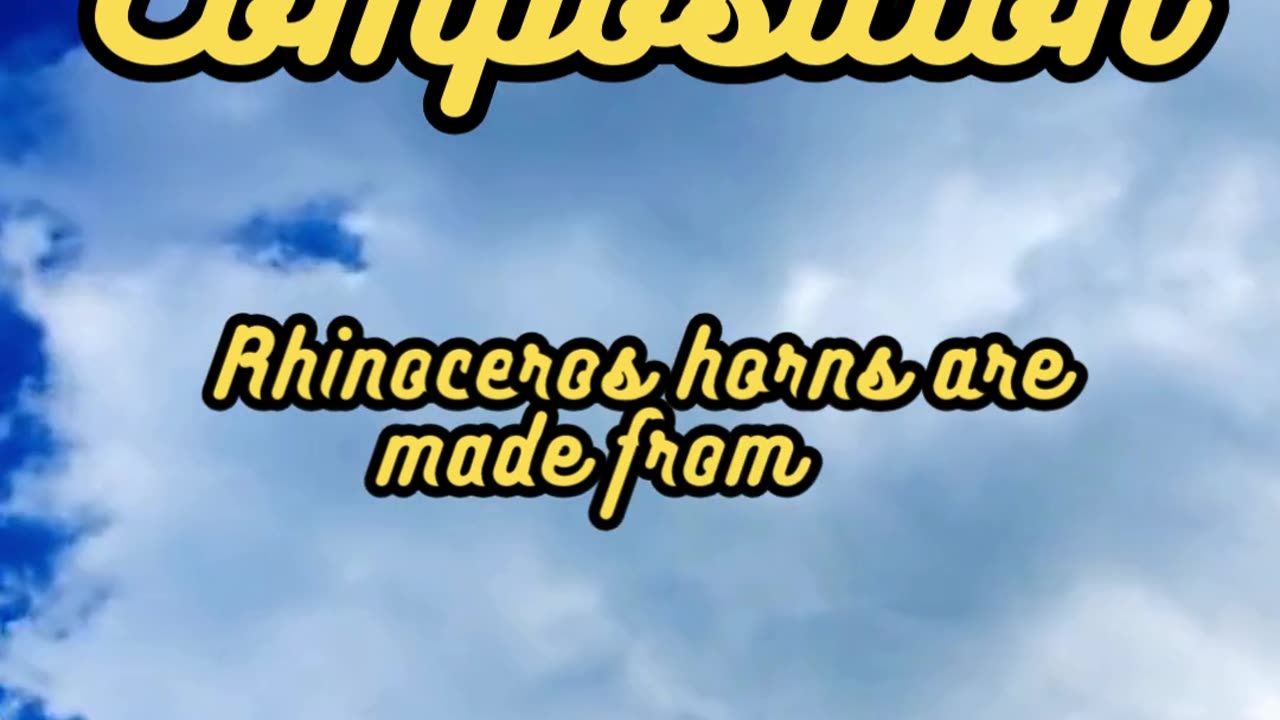 Animal Facts Rhinoceros Horn Composition #shorts