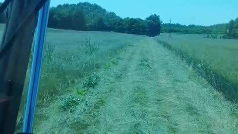 Ez a lényeg nem a háború