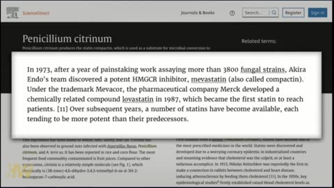 Big Questions About Statins