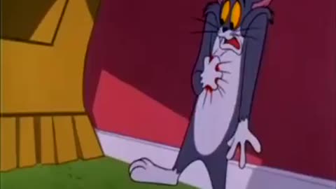 Tom & jerry comidi cartoon Videos ####