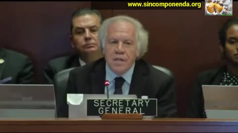 SECRETARIO DE LA OEA CONCLUYÓ QUE SÍ HUNO UN EVIDENTE FRAUDE ELECTORAL EN VENEZUELA