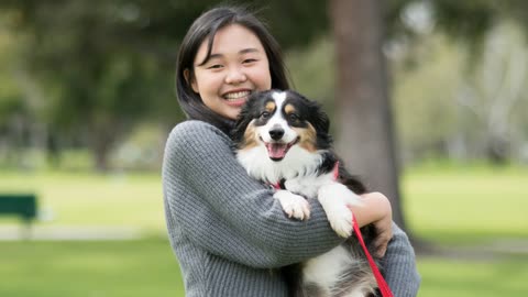 🐕 Best Dogs For Beginners – Top 10 Best Dog Breeds For First-Time Owners!
