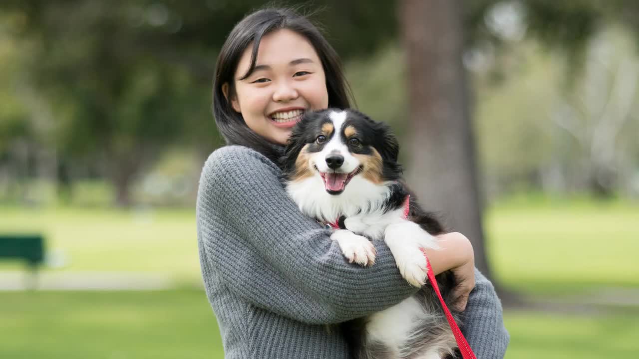 🐕 Best Dogs For Beginners – Top 10 Best Dog Breeds For First-Time Owners!