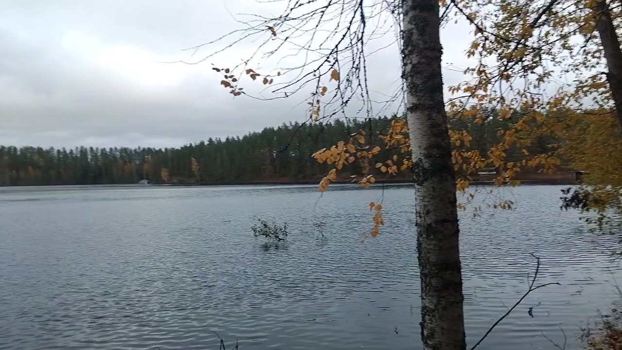 Vedenpaisumus Ahvenlammella