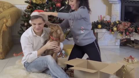 10 Signs To Tell If Your Dog Is Happy With You!