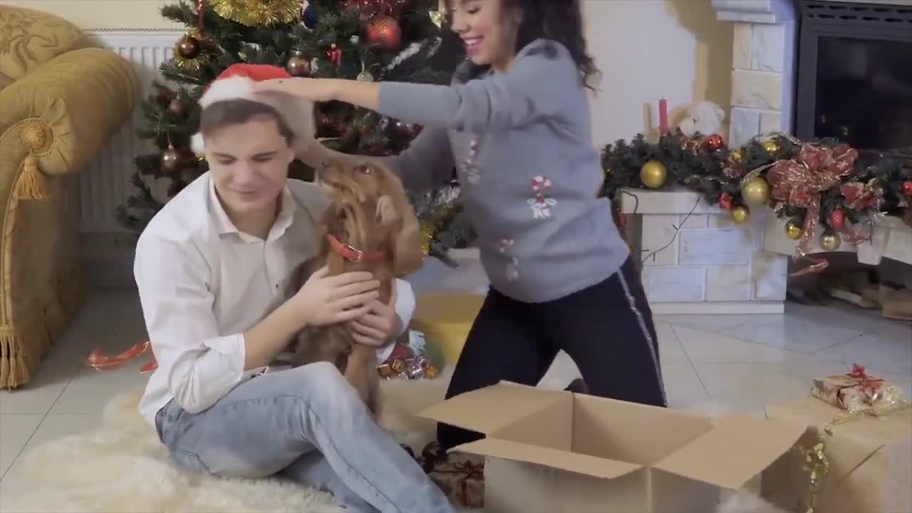 10 Signs To Tell If Your Dog Is Happy With You!