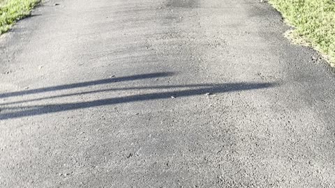 Take a walk with me… What are you afraid of