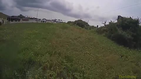 State police stop traffic on I-91 in Hartford so family of ducks could cross