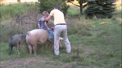 Riding Pigs