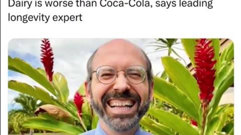 Shane Gillis Meme - Plant Based News