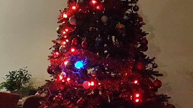 Playing Snake in the Christmas Tree