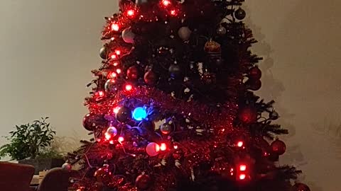 Playing Snake in the Christmas Tree