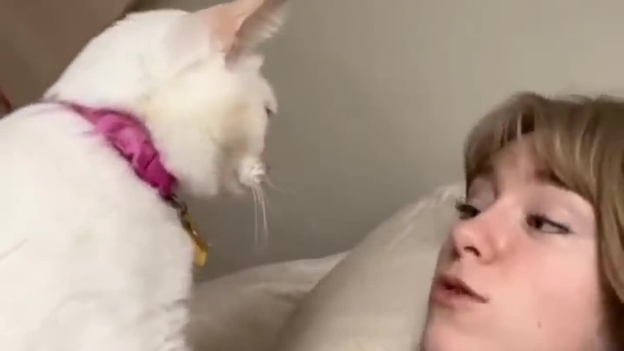 Funny TikToks compilation #7