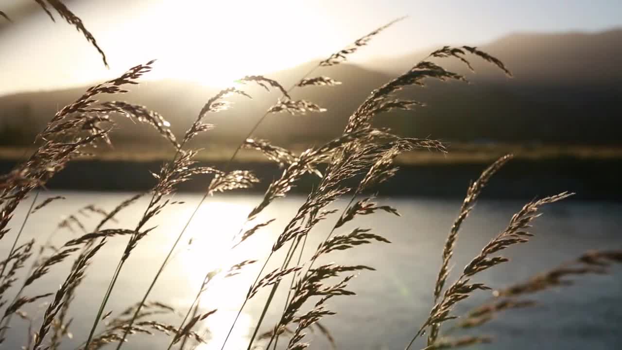 Relaxation video with birds sound | Calm meditation video | #nature | 15 mins long relaxation video
