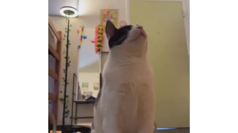 Video no. 141 you get a surprise in one of our videos stay tuned