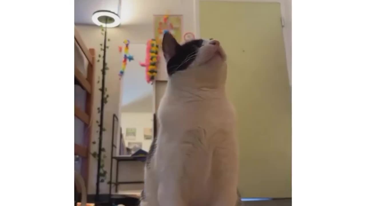 Video no. 141 you get a surprise in one of our videos stay tuned